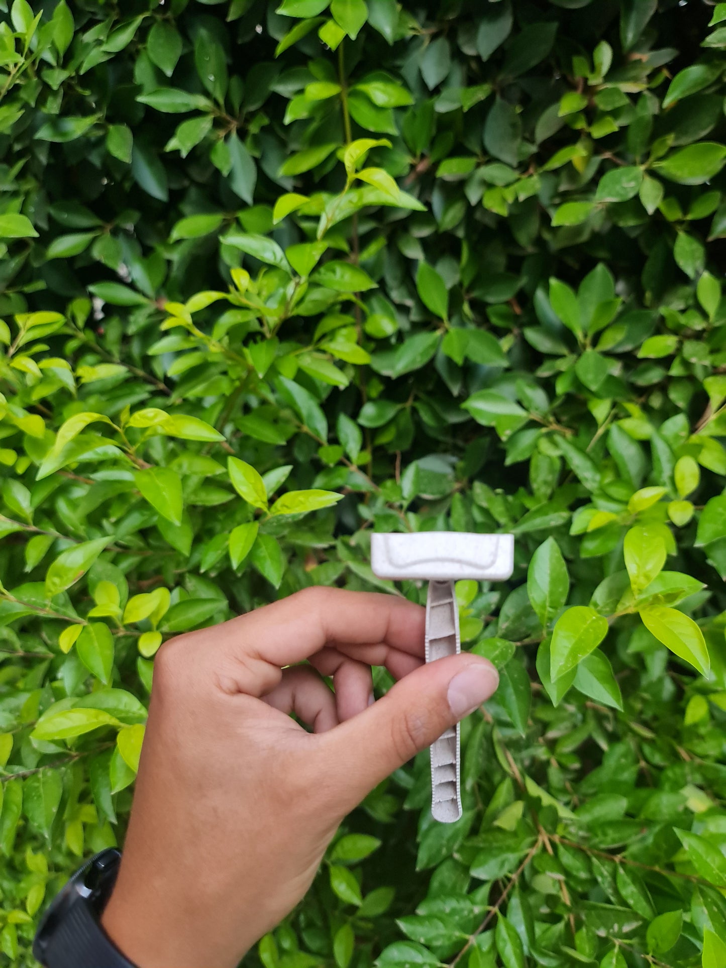 Bamboo Disposable Razors