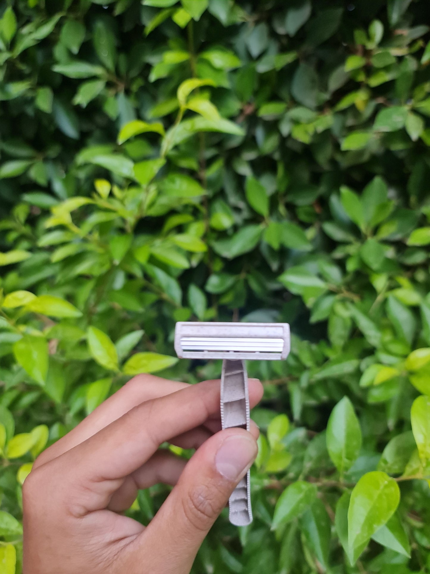 Bamboo Disposable Razors